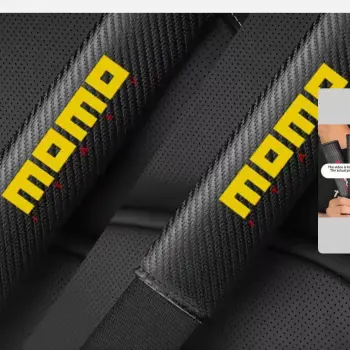 Protector de cinturon de seguridad's photo #1